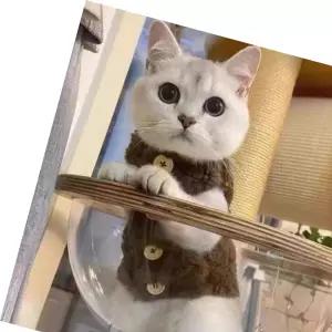 고양이옷 고양이 뽀글이 후리스 조끼 겨울 강아지옷