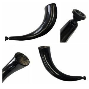 호른 나팔 뿔나팔 피리 이스라엘산 전통 소형 사자 상자 초보자용 광택 17 이스라엘