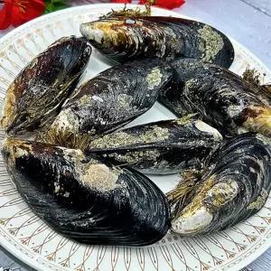 담치 3kg 자연산 특대 홍합