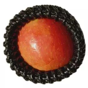 과일포장망 패드 와인보호 유리 완충제 100개 그물 과일 포장