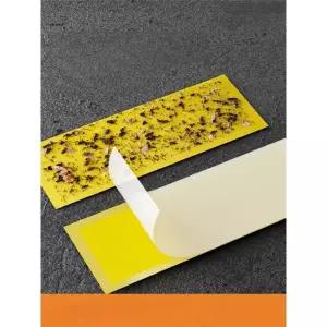 강력포충등끈끈이 해충 끈끈이 벌레퇴치기 바퀴헌터 20 x 10cm