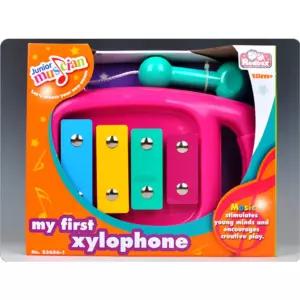 아기 실로폰장난감 언어발달 음악놀이 연주 교육기관 실로폰완구 교구 선물