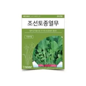 베하몰 텃밭 채소 씨앗 조선토종 열무
