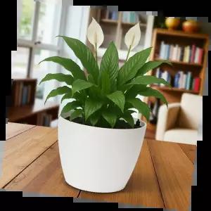 수위표시저면관수 고급형 다용도 수조 수면 측정 장비 실내 정원 수경재배용