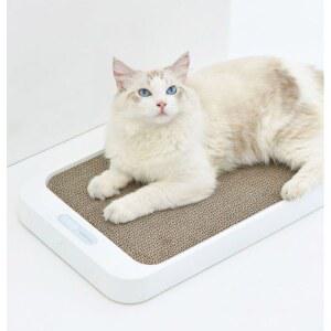 고양이 체중계 스크래치 계량 몸무게측정기 세척 체지방 체중 강아지체중계