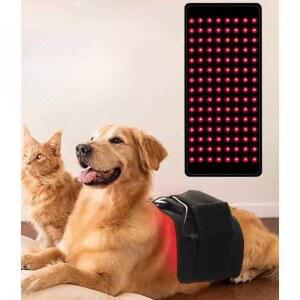 강아지디스크 뒷다리 허리 경추 강아지디크스보호대 보조벨트 XXS 디스크 깁스