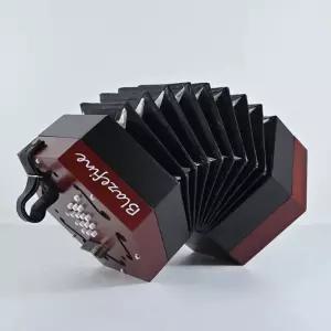 교육용 아코디언 콘서티나 30키 육각 베이스 초보자 탱고 연주용 취미악기