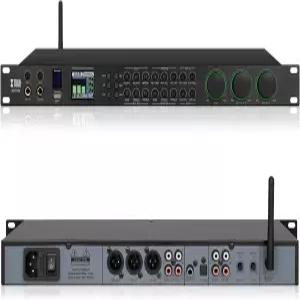 가정용 리버레이터 노래방 무대 공연 결혼식을 위한 XTUGA AM100 프로페셔널 KTV 디지털 보컬 효과