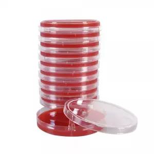 (낱개상품) 미생물 성장배지 세균증식용 배지 Blood Agar Plate