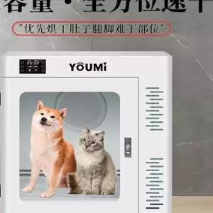 강아지털드라이기 대형 반려동물 고양이 드라이기 반려견