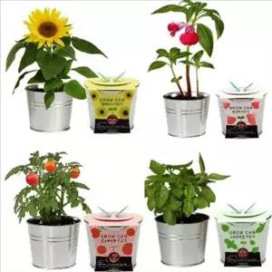 [콩심팥심]초보 홈 가드닝 세트 간편 베란다 화분 키트 인테리어 텃밭