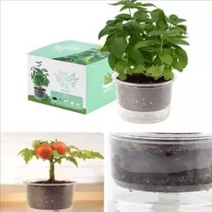 [셀러에이드]삼투압 자동 급수 화분 간편 미니 화분 세트 베란다 텃밭