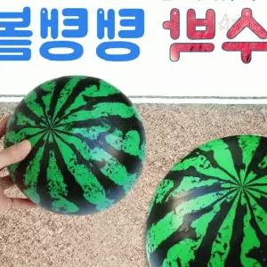 여름 물놀이 수박 무늬 탄력 놀이공 해변 레저 야외 활동 어린이 성인 가족 휴가