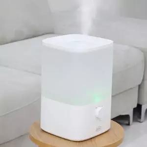 가습기 레이나4524 복합식 대용량 초음파 가열식 무드등기능 복합가습기 4L