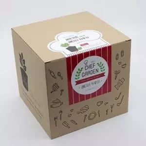 [콩심팥심]베란다 미니 텃밭 세트 어린이 친환경 화분 세트 재배 채소