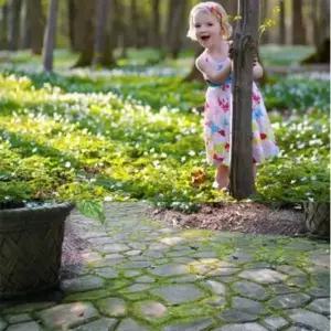 공원 정원 바닥 마당디딤돌 육각형 마당보도블럭 거푸집