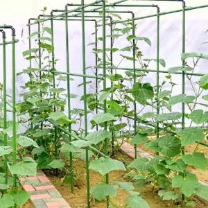 포도나무 지지대 오이 받침대 하우스 원예 직경(60X20X20) 토마토 덩굴 호박