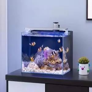 가정용 어항세트 해수 수족관 해수어 네모 물멍 열대어 마린탱크 사각