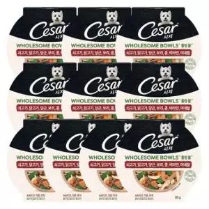 강아지밥 강아지 습식 사료 홀썸볼 소고기 당근 화식 85g 10P