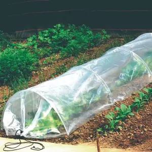 텃밭 비닐하우스 접이식 터널 3m DD-13093옥상 용비닐 이동식 미니 가정용 관리 소형