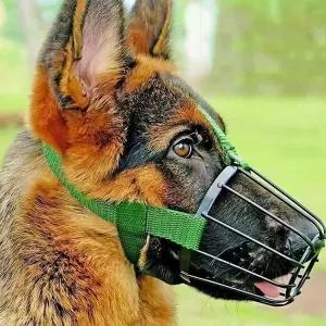 대형견 메탈 입마개 물림방지 진돗 마스크 산책 외출 훈련용품강아지 캠핑 펫점 반려 짖음 개입 중형 애용