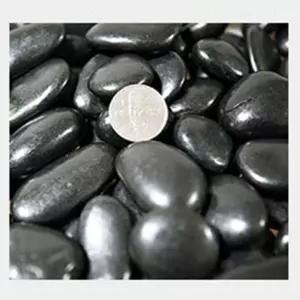 검정우화석 선명한 검은색자연석 3kg자갈돌 정원 조경돌 경검은용 원예검은 마당검은 흑자갈 검은 색자갈