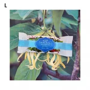 고급 아로마카트리지필터 녹물제거 초간단설치 피부보습 불순물 관리 수압상승 샤워용품 욕실 샤워기