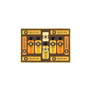 설선물세트 프로폴리스 E스페셜 + 쇼핑백 951020