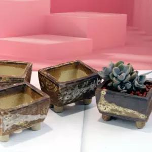 국내산도자기 웃나무8 1+1+1 친화적 인테리어화분집화분 예쁜 다육 식물 선물 장식 디자인 꾸미기 정원 거