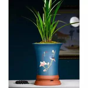 프리미엄 동양난 풍란 도자기 라이트블루 인테리어 난초화분 사무실 샌드 확인 난분 대형