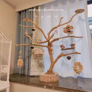 앵무새 장난감 간식 꼬치 퀘이커용 횟대 포치 코뉴어용