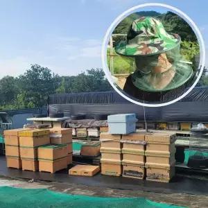 [골드스마일]양봉모자 방충망 벌모자