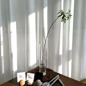 베하몰 사각 유리 화병 8x8x30cm글라스꽃 인테리어 화분 소품 투명 다용도 도병 향초 네모난