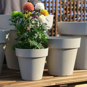 플라스틱 화분 받침세트다육이화분 대용량 대형 인테리어 나무 물빠짐 꽃정리