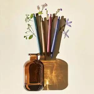 제트스트림 라이트 터치 펜 가을 에디션 0.5mm (10개 1세트) 사무용품