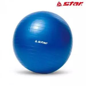 짐볼 45cm 볼 트레이닝 블루