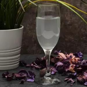 샹그릴라 디저트 샴페인잔 1개