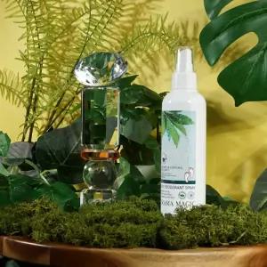 스타킹 페퍼민트잎 발냄새 뽀송뽀송 풋스프레이 200ml