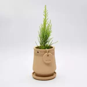 테라원 내열토 수제 토분 투스 행잉 12x16cm정용품 분갈이화분 홈가드닝 식물키우기 인테리어 가벼운 용기