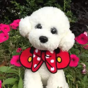 딩동펫 고양이 강아지 케이프 스카프 패션 악세사리 용품 입체 러블리