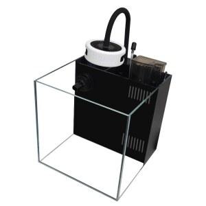 해수 어항 해수어 물고기 인테리어 35cm 우파루파 구피 5개 세트 2자어항 니모 관상어