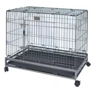 위)브리더 진도장(중) 훈련장비 애견교육 반려용품 위브리더진도