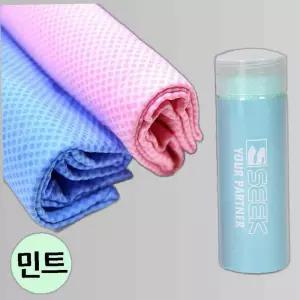 스포츠타올 프리미엄 엠보싱 습식 대형 (민트) PVC