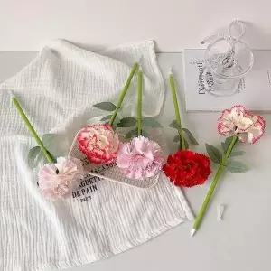 볼펜 필기구 단체 카네이션 플라워 행사 선물용 4개입 세트