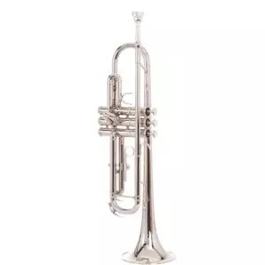 트럼본 트럼펫 입문용 연주 악기 A. 세데센 골드 STR-100