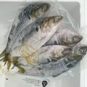 냉동 전어 2kg [ANR7242]