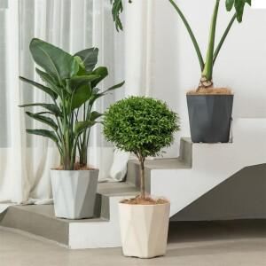 발코니 실내 가정용 플라스틱 호접란 다육 방수 화분 보육 트레이 야외 정원