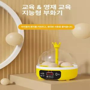 퀀텀상점 부화기만들기 부화기 알부화기 병아리부화기