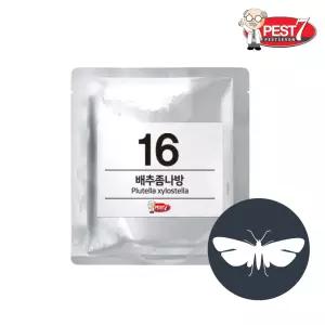페스트세븐 배추좀나방 퇴치 유인제 트랩