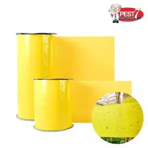 갈색날개매미충 총채벌레 작은뿌리파리 나무좀 가루이 미소해충 농업용트랩 해충 나방 농업용 비닐하우스용